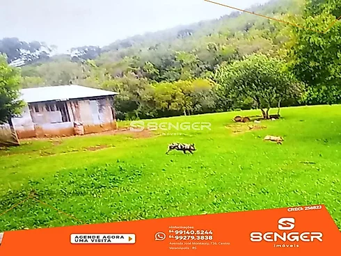 Área de 70 Hectares em São Francisco de Paula - Sítio em Interior, Sao Francisco de Paula - Foto 1