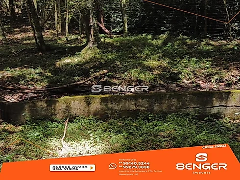 Área de 1 Hectare com Escritura a 05 Min do Centro - Sítio em Interior, Veranopolis - Foto 2