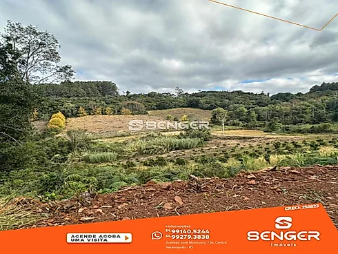 Área de Terra - Sítio em Interior, Vila Flores - Foto 3