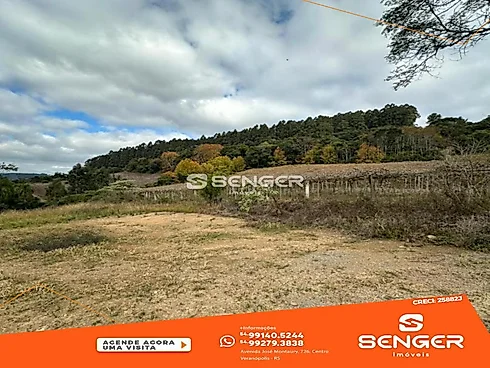 Área de Terra - Sítio em Interior, Vila Flores - Foto 5