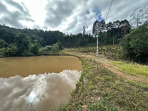 Área de Terra - Sítio em Interior, Vila Flores - Foto 2
