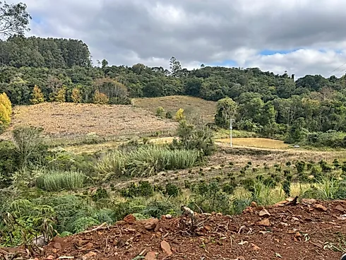 Área de Terra - Sítio em Interior, Vila Flores - Foto 4
