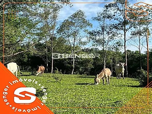 Área de Terras em Veranópolis-Próximo a Cidade - Sítio em Interior, Veranopolis - Foto 2