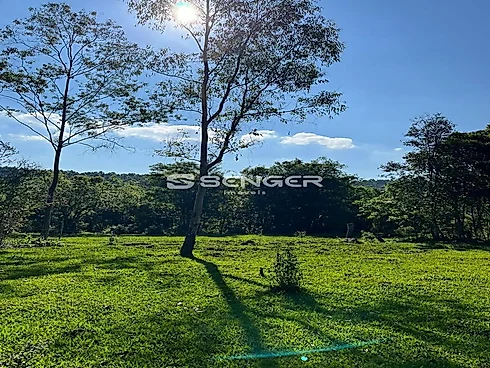 Área de Terras em Veranópolis-Próximo a Cidade - Sítio em Interior, Veranopolis - Foto 3