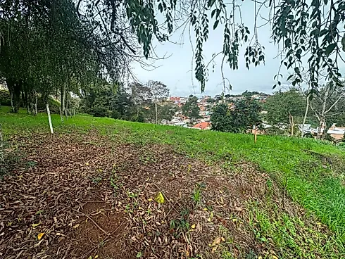 Terreno de 607m²  - São Pelegrino - Terreno em São Pelegrino, Veranópolis - Foto 3
