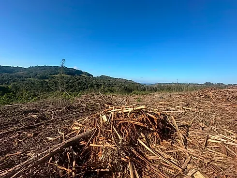 Área de Meia Colônia Terra Rural na Linha Júlio de Castilhos - Foto 4