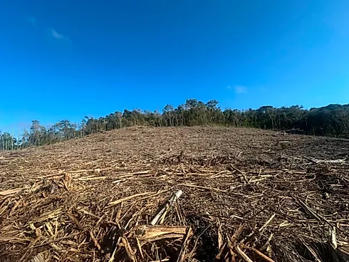Área de Meia Colônia Terra Rural na Linha Júlio de Castilhos - Foto 5