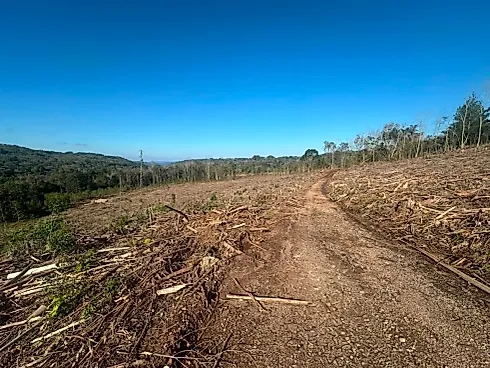 Área de Meia Colônia Terra Rural na Linha Júlio de Castilhos - Foto 6