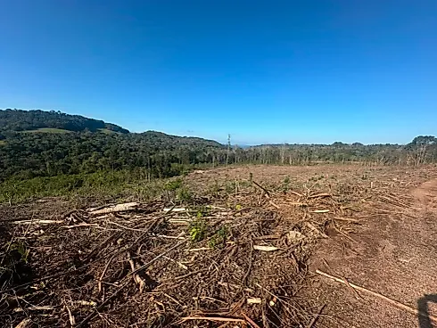 Área de Meia Colônia Terra Rural na Linha Júlio de Castilhos - Foto 7