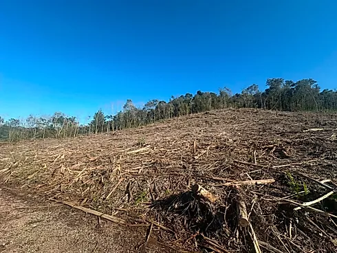 Área de Meia Colônia Terra Rural na Linha Júlio de Castilhos - Foto 8