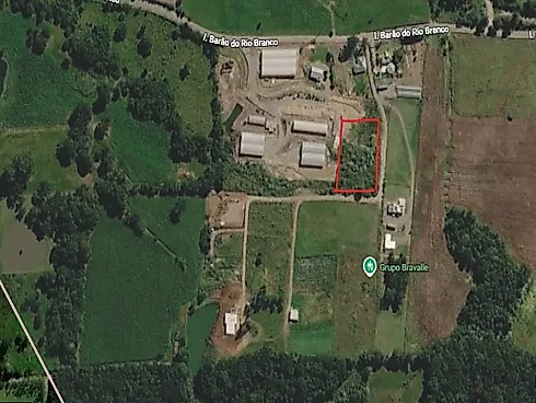 Terreno 2500m² em Beira de Asfalto - Sapopema - Terreno em Sapopema, Veranópolis - Foto 2