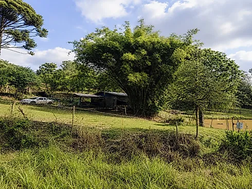 Chácara 4500m² em Ipê - Capela de São Valentim - Chácara em Capela de São Valentim, Ipê - Foto 4