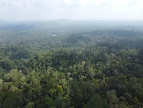 Área de Terras de uma Colônia  284.000M² Linha Parreira Horta -Veranópolis  - Interior