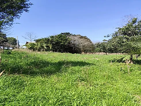 Br 470, Nova Prata