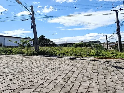 Terreno Plano de Esquina 14,5X25 - Foto 4
