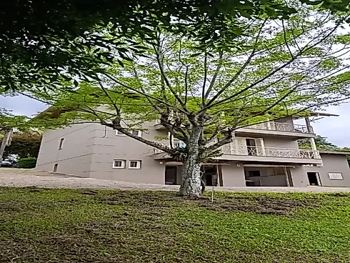 Linda Chácara 50.000M² Casa, Quiosque e Piscina com Aquecimento Solar - Coréia - Foto 5