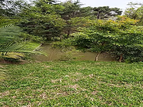 Linda Chácara 50.000M² Casa, Quiosque e Piscina com Aquecimento Solar - Coréia - Foto 10