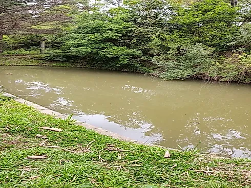 Linda Chácara 50.000M² Casa, Quiosque e Piscina com Aquecimento Solar - Coréia - Foto 11