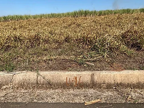 Terreno 250m² - Jardim Santo Agostinho - Foto 6