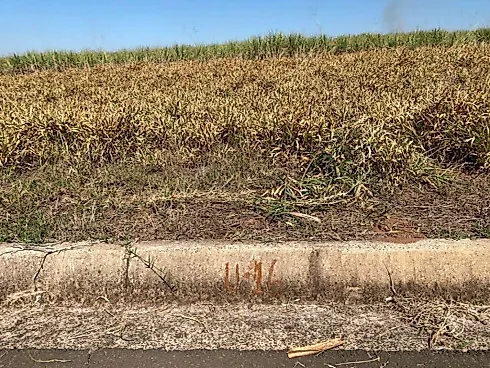 Terreno 250m² - Jardim Santo Agostinho - Terreno em Jardim Santo Agostinho, Pirassununga - Foto 2