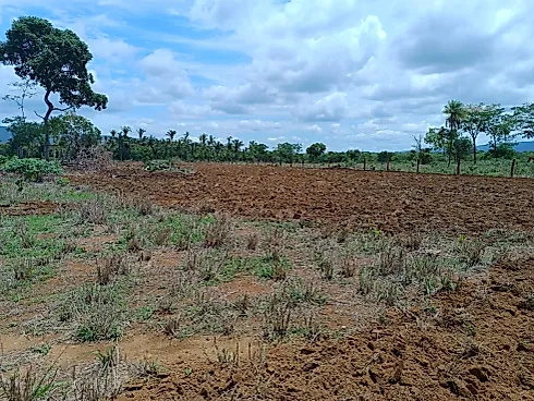 Sitio a Venda no Alto Paraguai - Foto 34