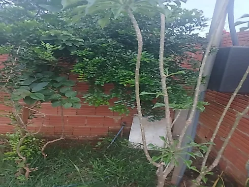 Chácara em Condominio de Chacara Olinda, Tangara da Serra