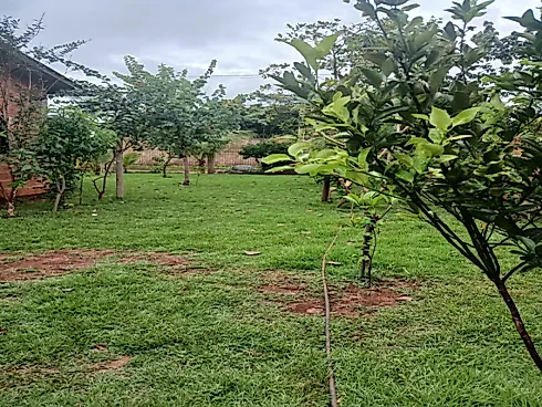 Condominio de Chacara Olinda - Foto 8