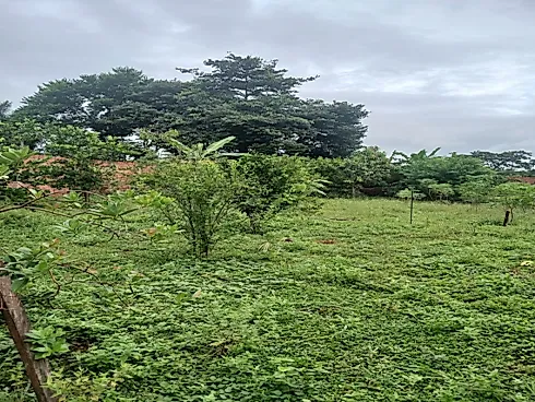 Condominio de Chacara Olinda - Foto 10