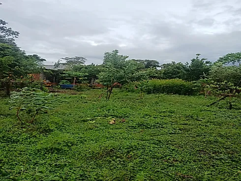 Condominio de Chacara Olinda - Foto 11
