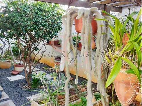 Casa à Venda no Jardim Regina em Indaiatuba por R$2.100.000 - Foto 32
