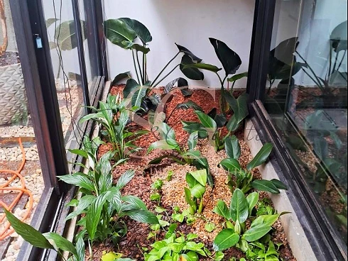 Prédio Comercial para Locação no Bairro Marchi em Itupeva por R$20.000 - Foto 18
