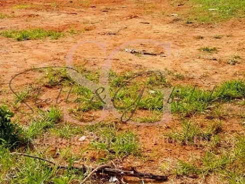 Terreno em Loteamento Parque Industrial, Jundiaí