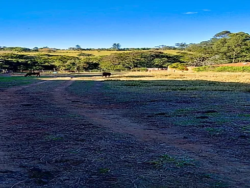 Terreno à Venda no Portal do Medeiros por R$1.500.000 - Foto 5