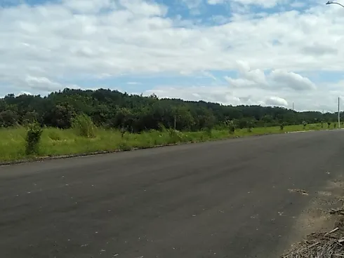 Terreno, Americana