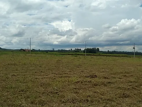 Terreno, Americana