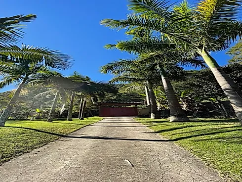 Sítio no Sito Natividade - Area Rural - Foto 15
