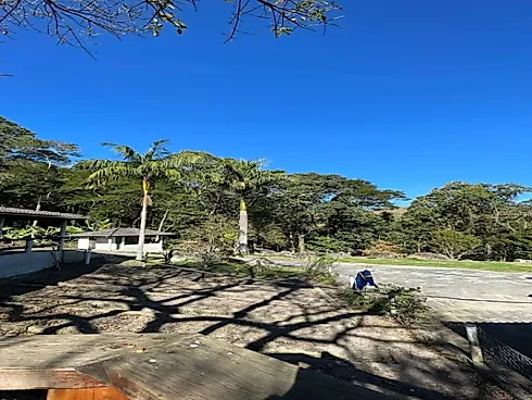 Sítio no Sito Natividade - Area Rural - Foto 21