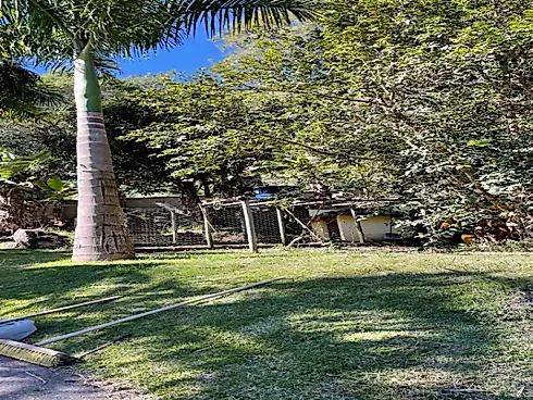 Sítio no Sito Natividade - Area Rural - Foto 30