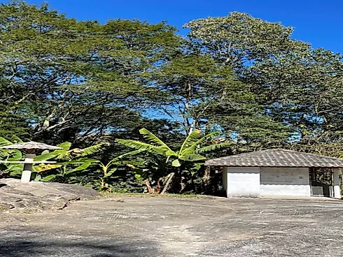 Sítio no Sito Natividade - Area Rural - Foto 32