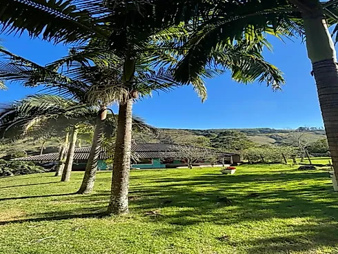 Sítio no Sito Natividade - Area Rural - Foto 7