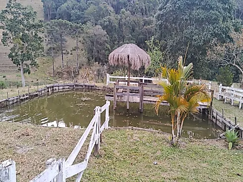 Sitio São Luiz do Paraitinga - Sítio, São Luiz do Paraitinga - Foto 5