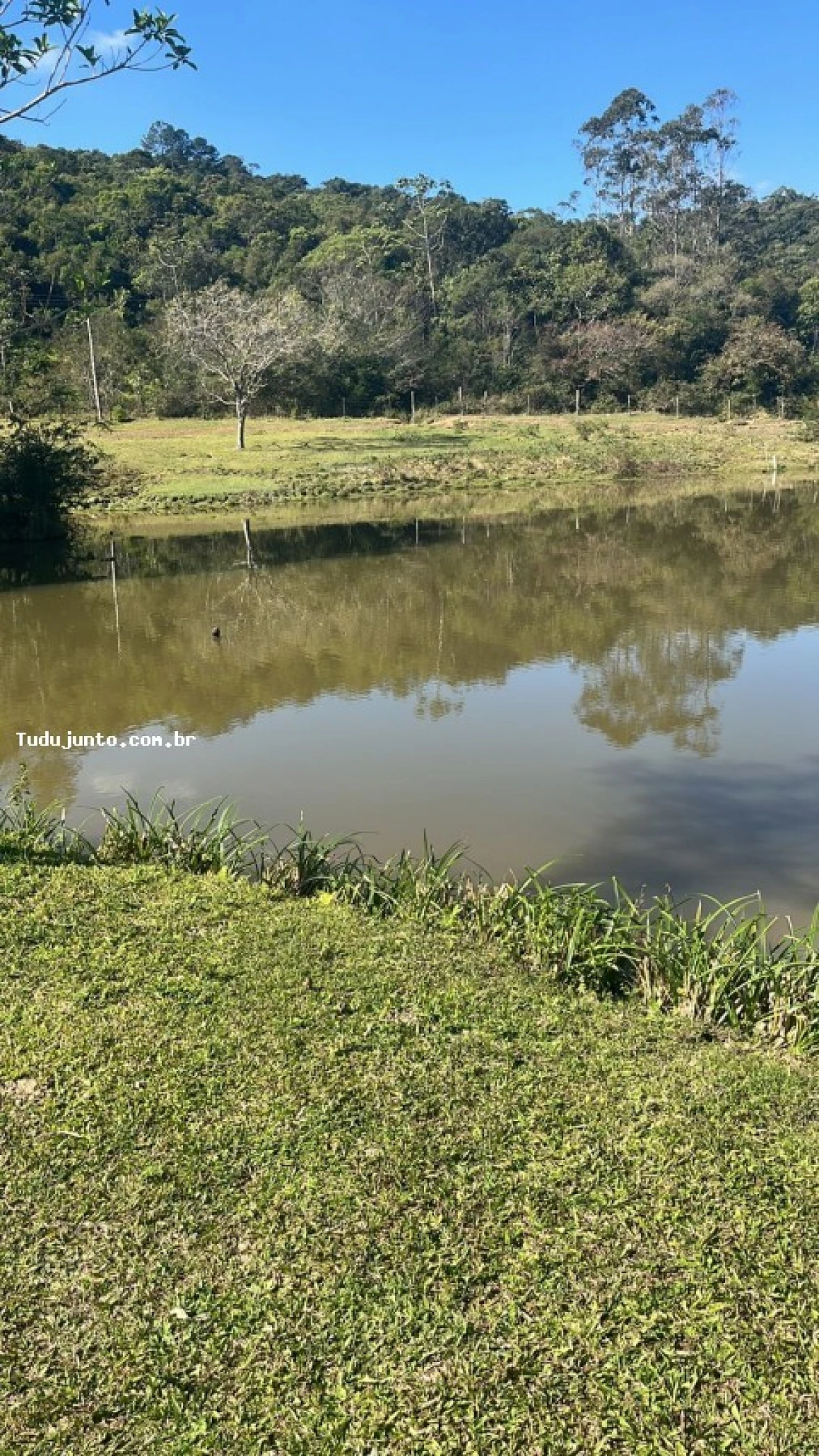 Sítio em Colônia Santana, São José