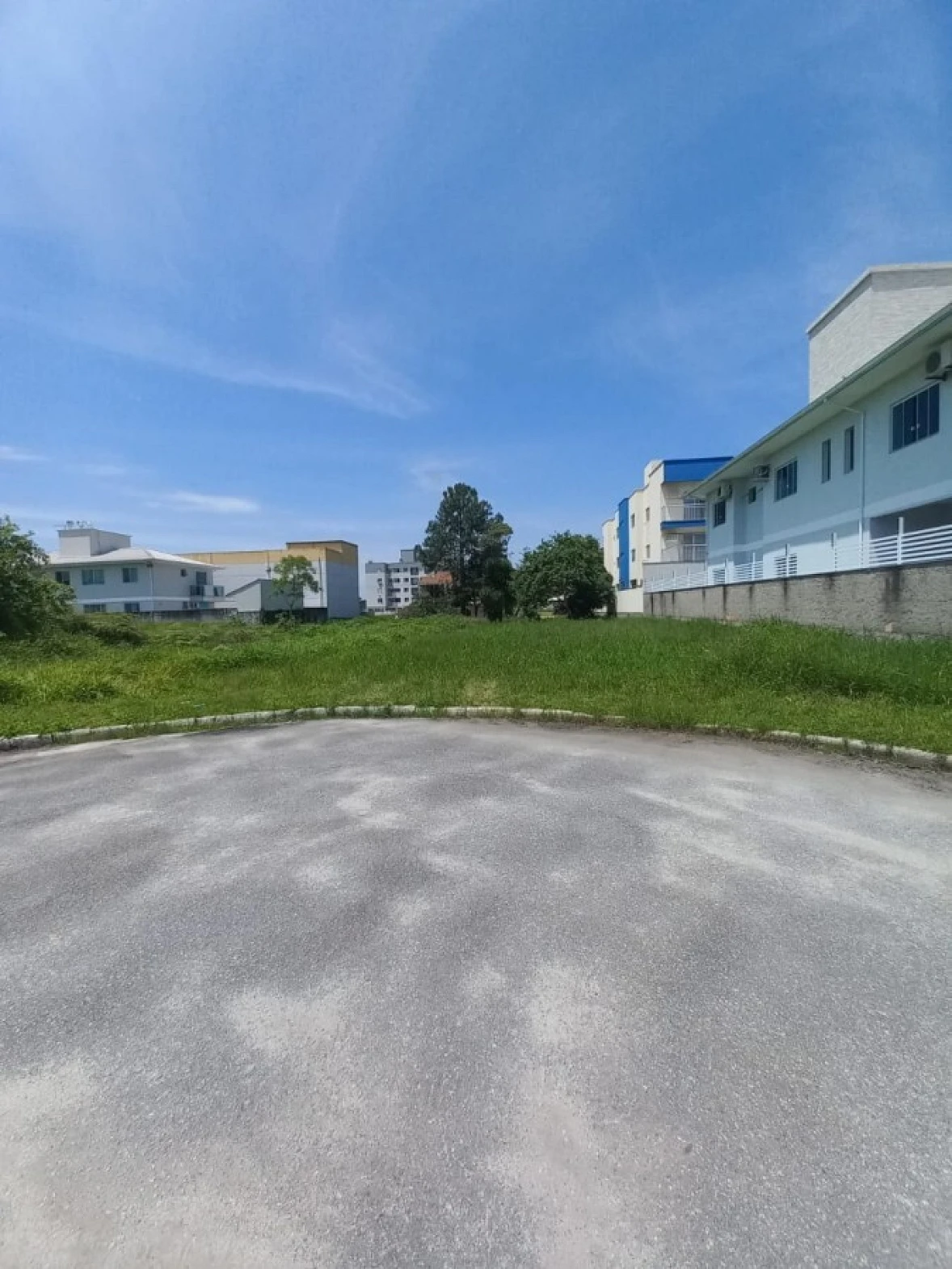Figueira Velha, São José