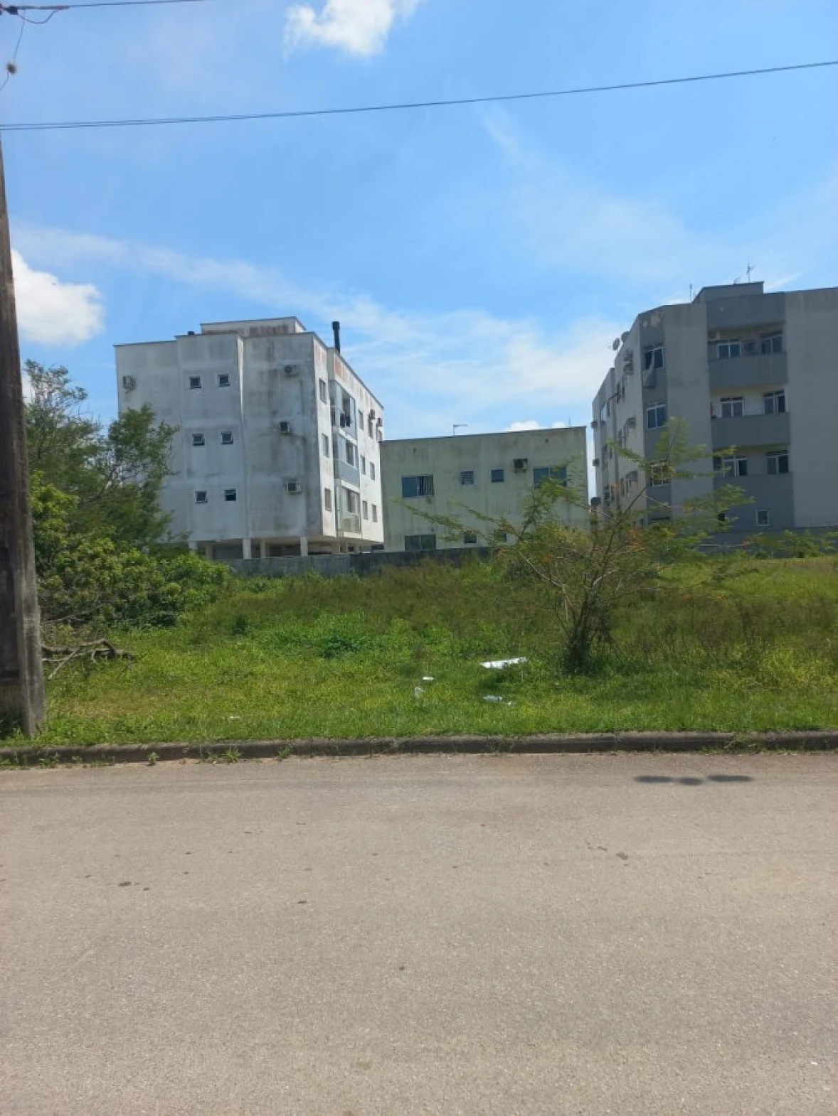 Figueira Velha, São José