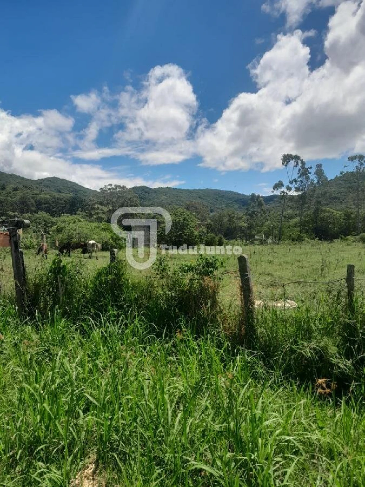Apartamento em Ratones, Florianópolis