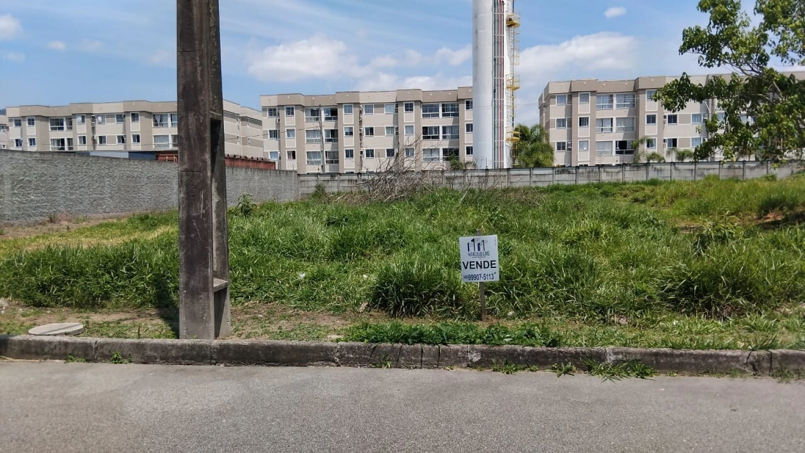 Figueira Velha, São José