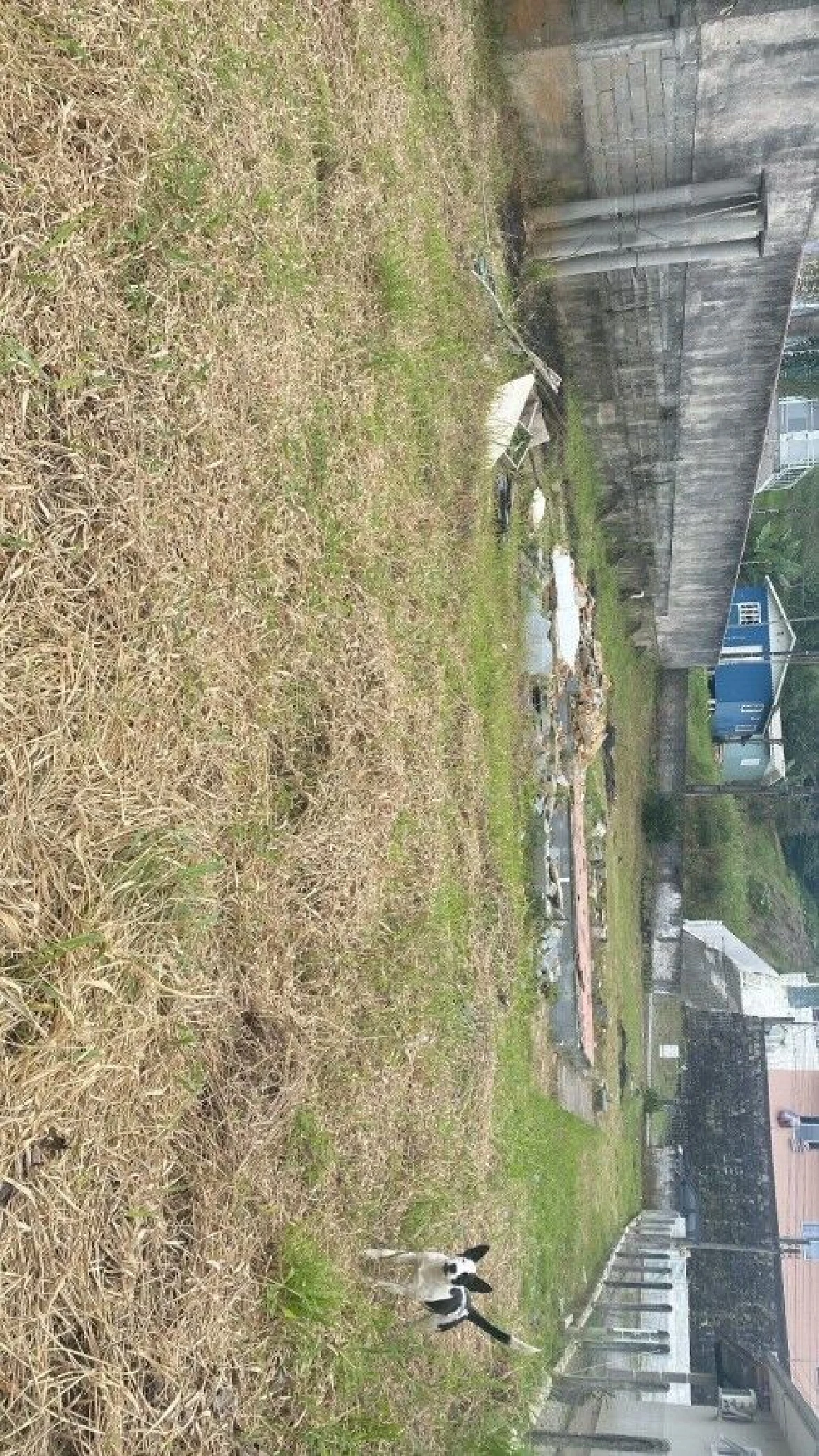 Terreno em Barra do Aririú, Palhoça