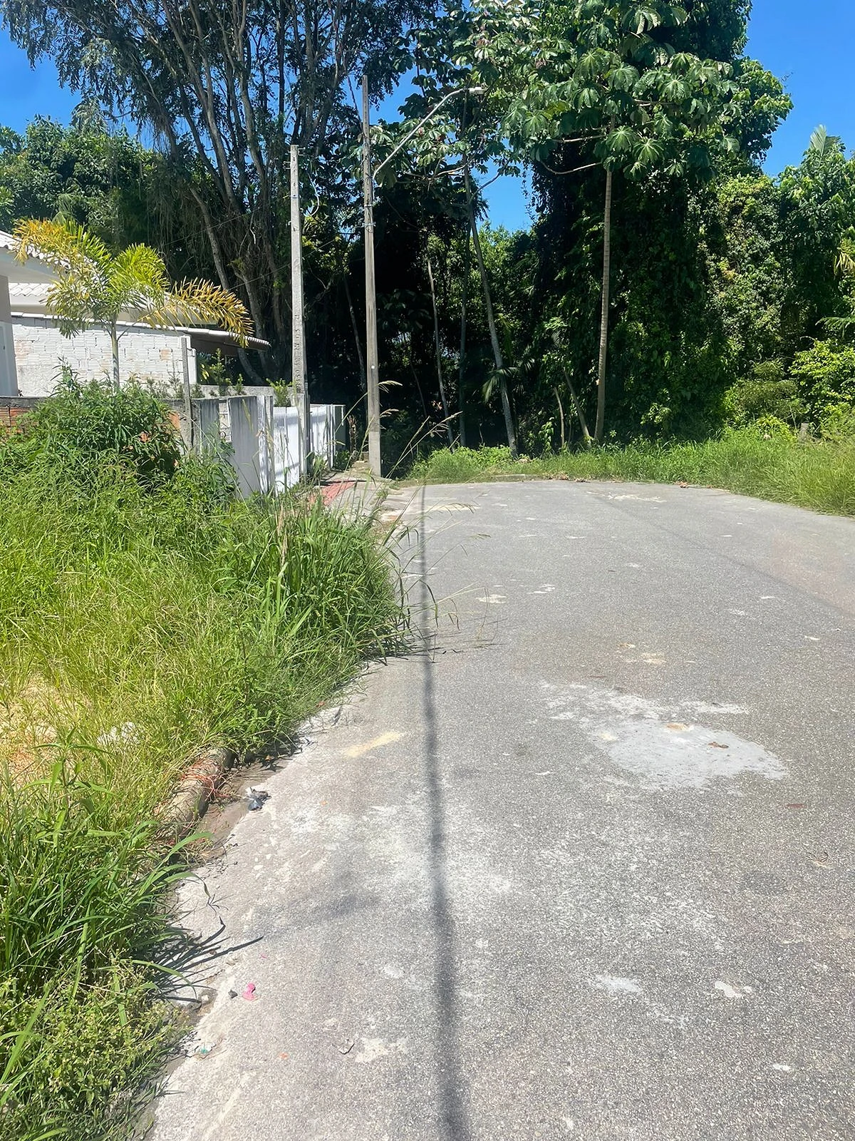Terreno em Bela Vista, Palhoça