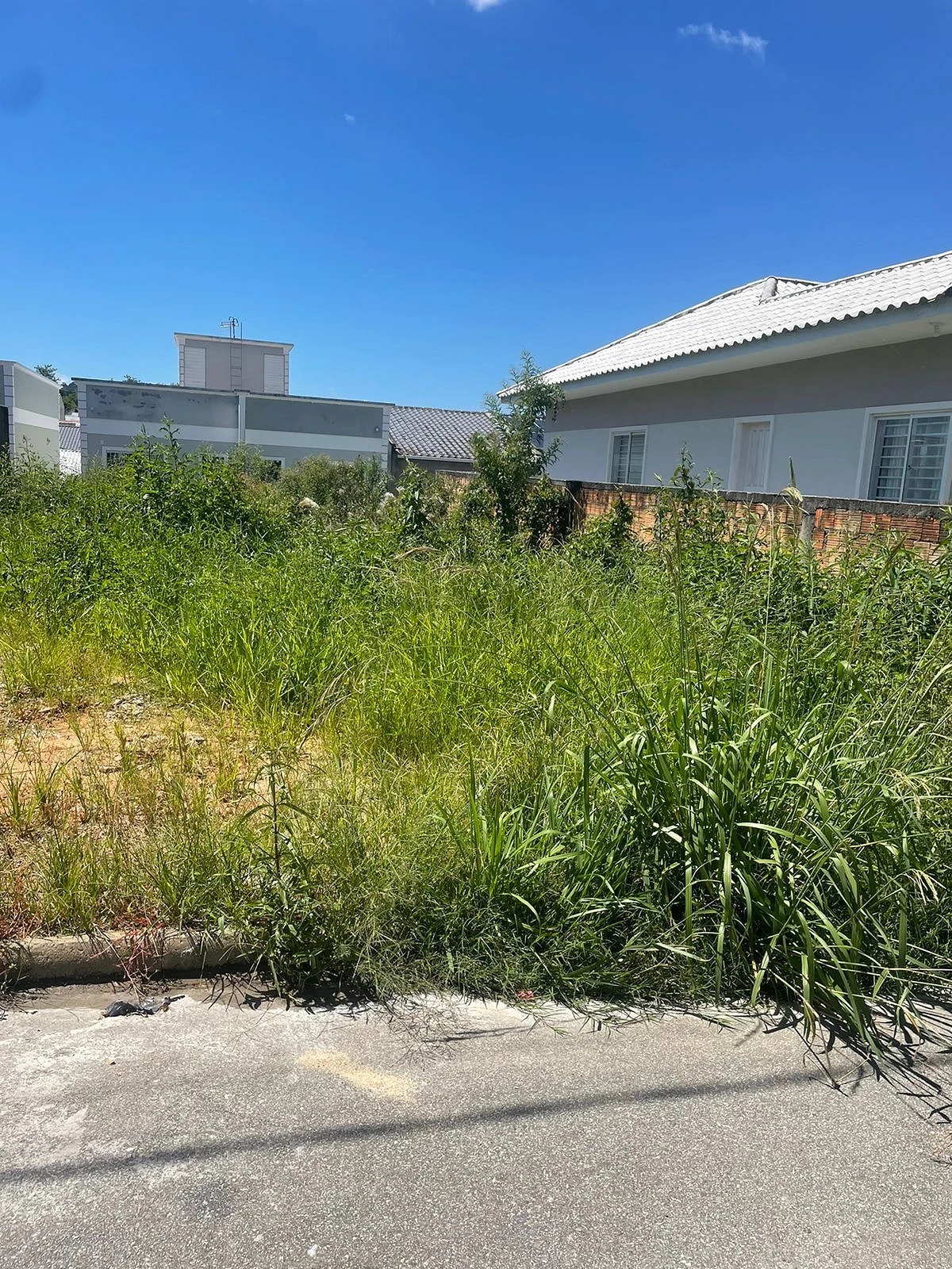 Terreno em Bela Vista, Palhoça