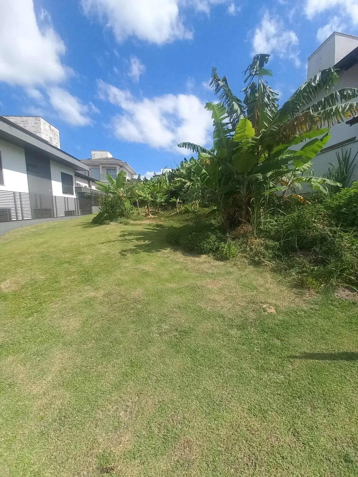 Terreno em Cidade Universitária Pedra Branca, Palhoça